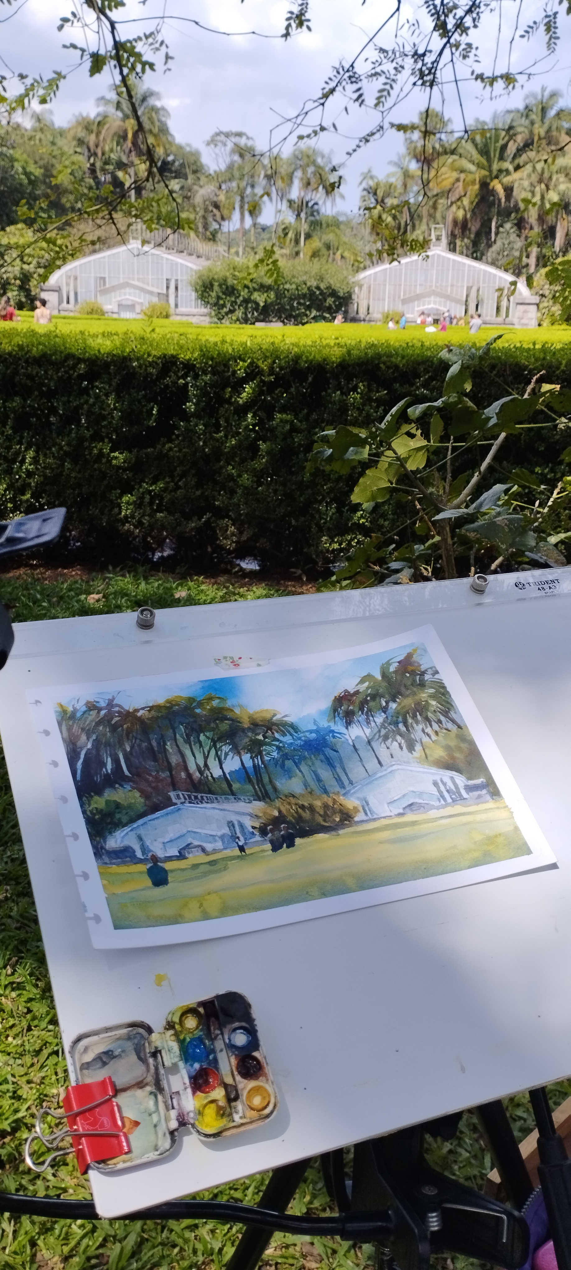 Jardim Botânico de SP
